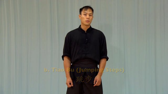 Shaolin Kung Fu Advanced 1.34