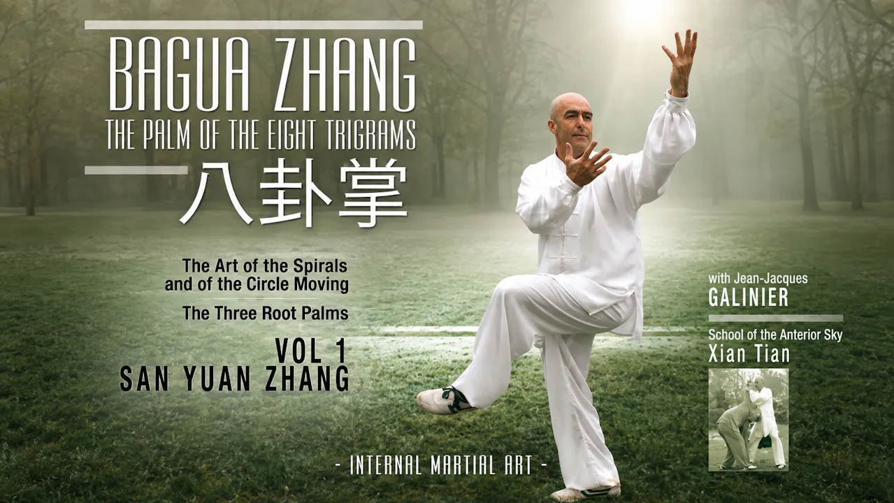 Bagua Zhang San Yuan Zhang Jean-Jacques Galinier