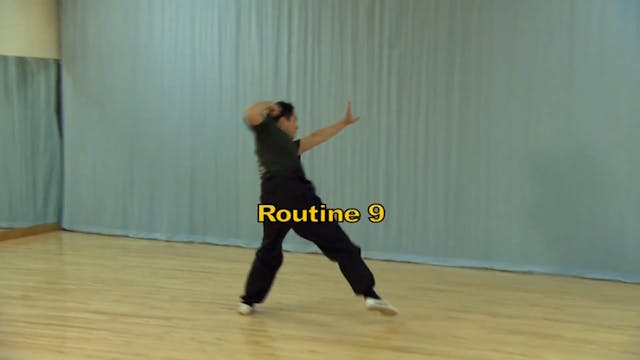 Shaolin Kung Fu Long Fist Int - 22