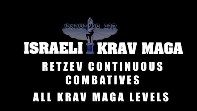 Krav Maga Combatives 2.6