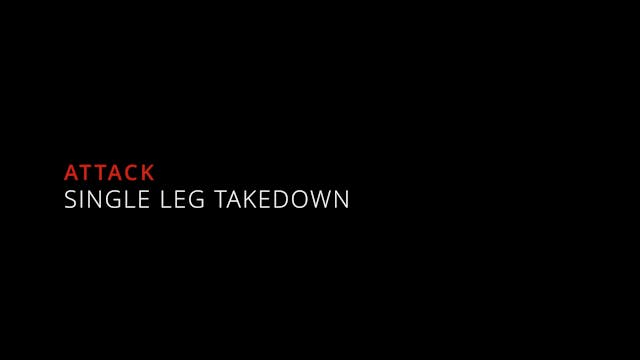 02. Single Leg Takedown - Counterattacks