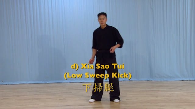 Shaolin Kung Fu Advanced 2 - 14