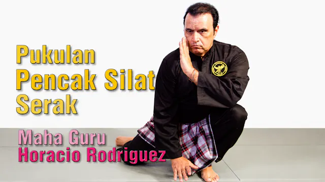 Pukulan Pencak Silat Serak Empty Hands