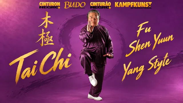 Tai Chi Yang Style Vol 1 by Fu Shen Yuan