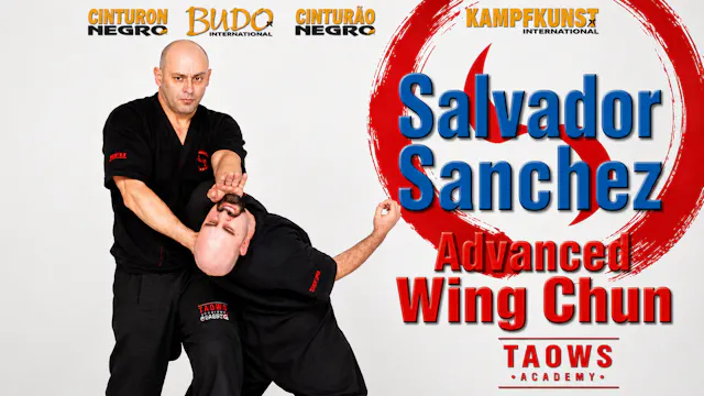 Wing Tsun Advanced TAOWS Academy Salvador Sanchez