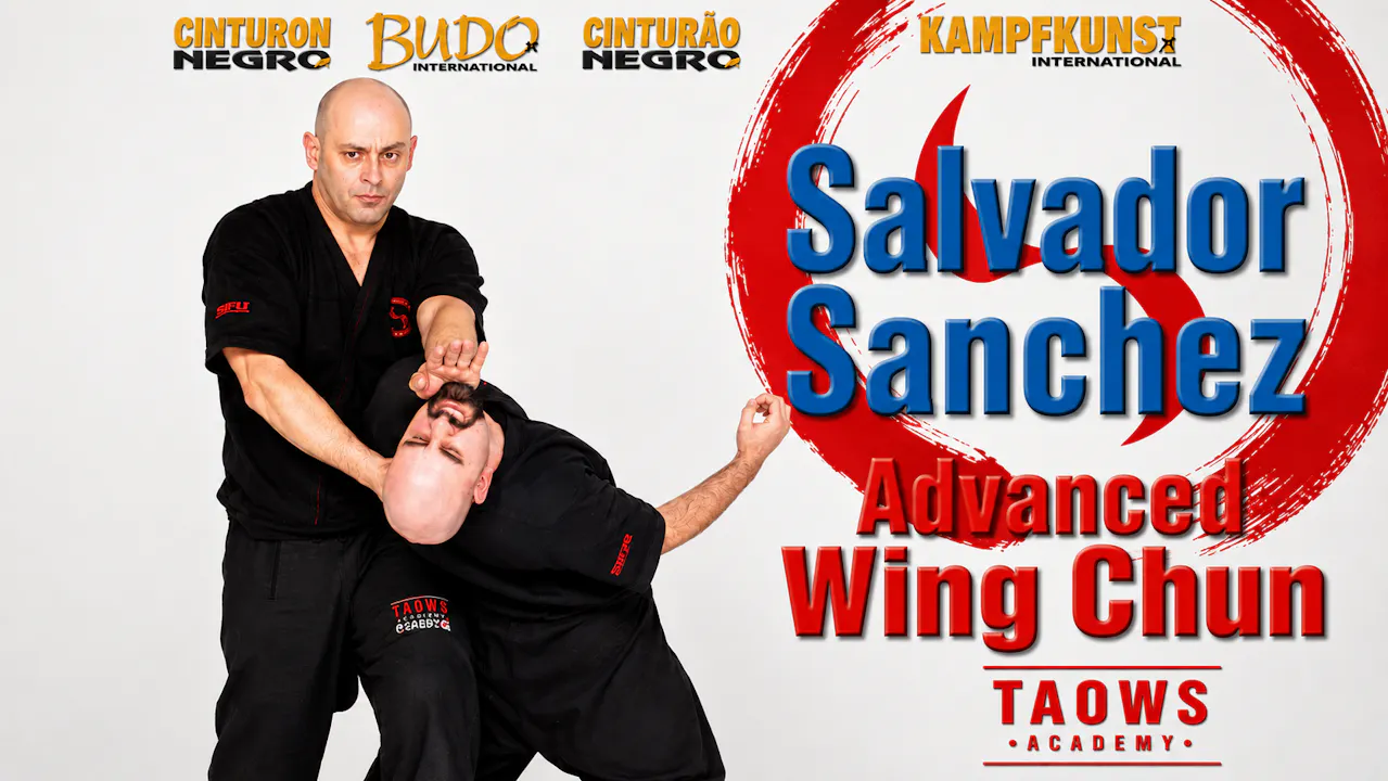 Wing Tsun Advanced TAOWS Academy Salvador Sanchez