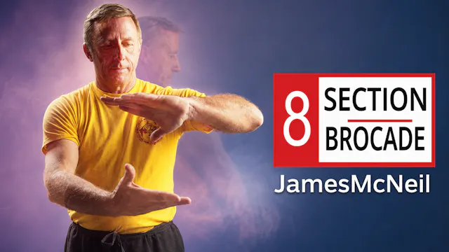 8 Section Brocade by James McNeil