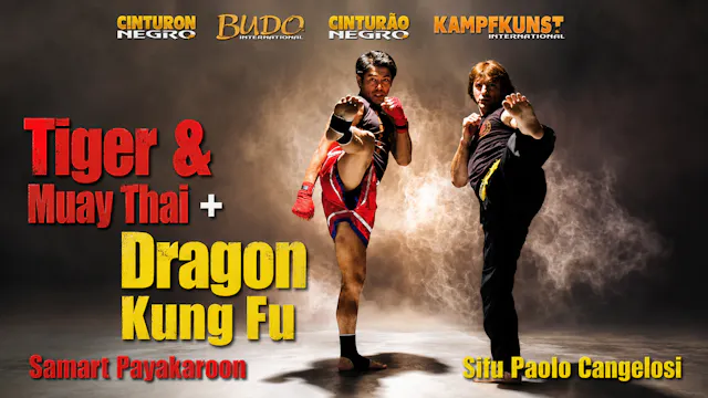 Kung Fu & Muay Thai Dragon & Tiger