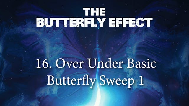 Butterfly Effect 16 Over Under Basic Butterfly Sweep 1
