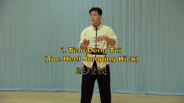 Shaolin Kung Fu Long Fist Int - 13