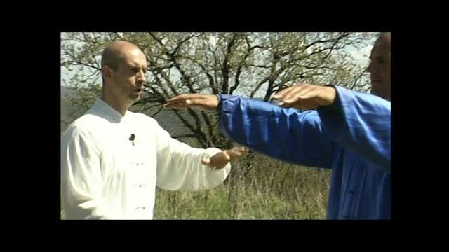 Taiji Quan - The 12 ancient Energy Fight Techniques from Yang Style Vol 3 DVD140