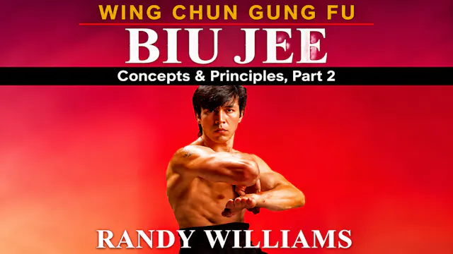 Wing Chun Biu Jee Concepts 2 by Randy Williams
