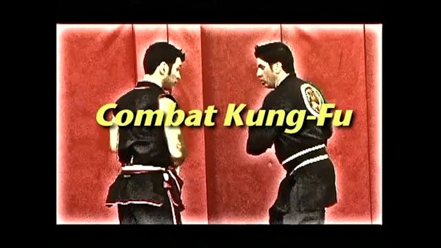 Combat Kung-Fu Defensive Shadow Palm Tsai