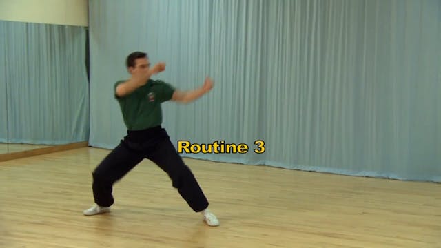 Shaolin Kung Fu Long Fist Int - 52