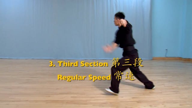 Shaolin Kung Fu Advanced 2 - 35