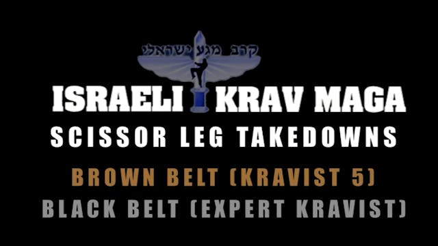 Krav Maga Combatives 3.2