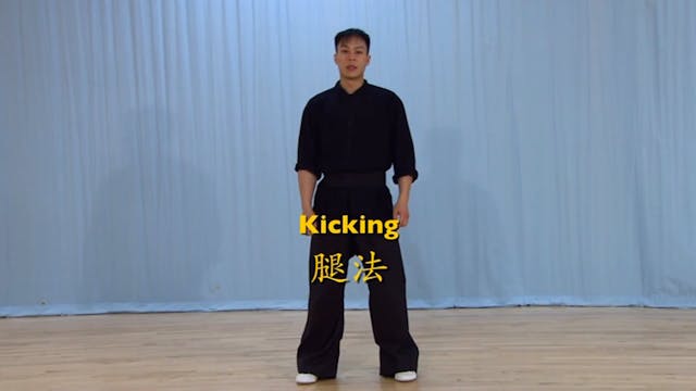 Shaolin Kung Fu Advanced 2 - 11