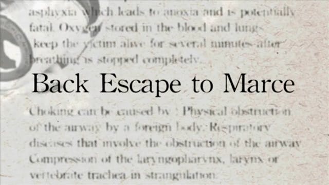 25 Back Escaoe to Marce Darcepedia En...