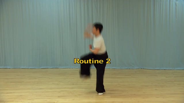 Shaolin Kung Fu Long Fist Int - 74