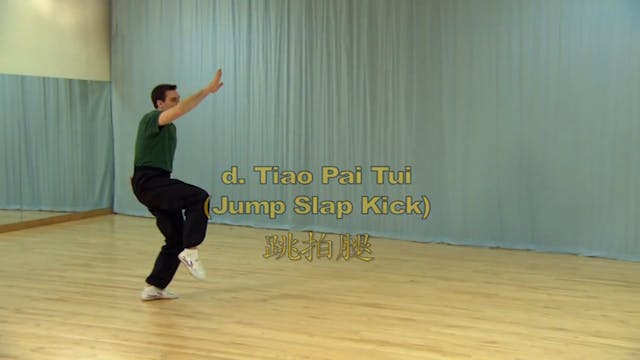 Shaolin Kung Fu Long Fist Int - 48