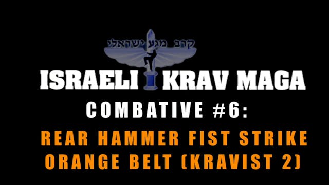 Krav Maga Combatives 1.8