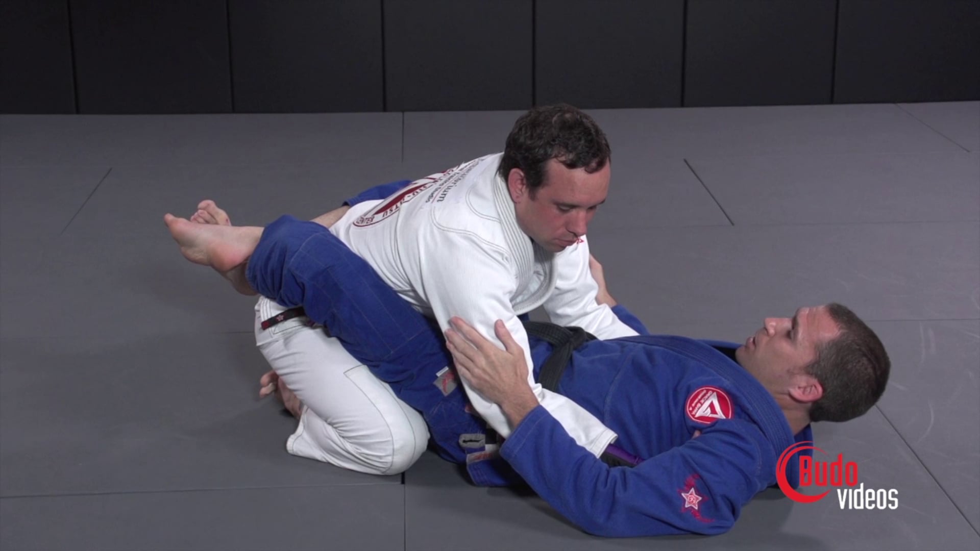 Effective Wristlocks for BJJ Vol. ２ 柔術 - ブルーレイ