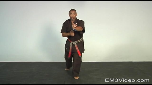 Masterclass Kenpo Volume 2 Kenpo Self Defense by Robert Temple