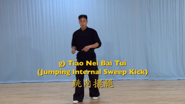 Shaolin Kung Fu Advanced 2 - 57