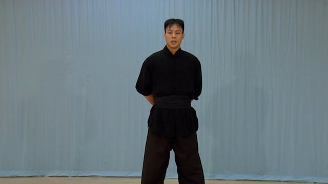 Shaolin Kung Fu Advanced 1.2