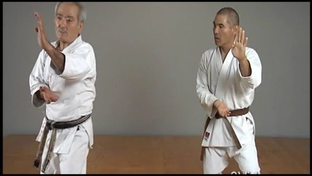 Okinawan Karate Shorin Ryu Vol-3 by Eihachi Ota