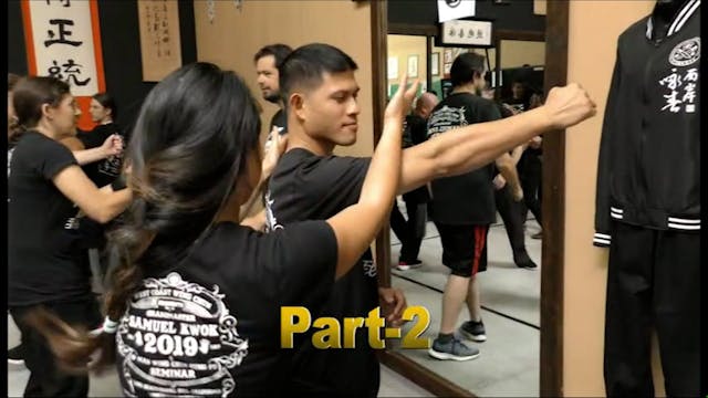 Wing Chun Sem 2019 Vol 2
