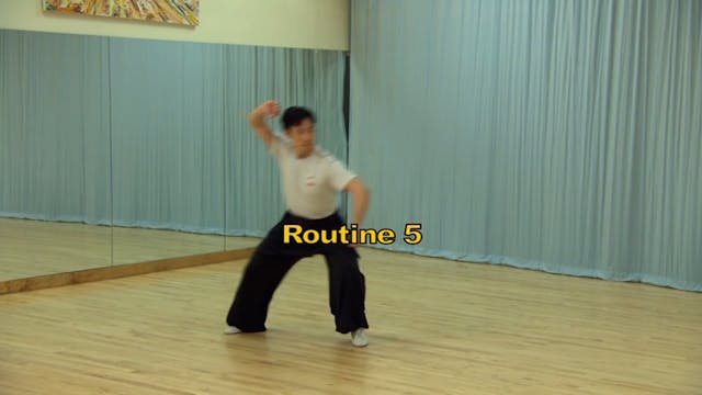 Shaolin Kung Fu Long Fist Int - 53