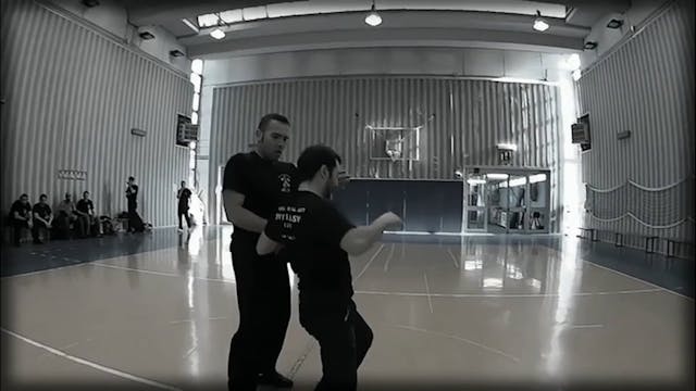 RMA Systema SV 2016 Self Defense Seminar Vol 1 Italy by Dmitry Skogorev