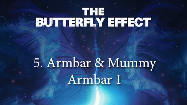 Butterfly Effect 5 Armbar and Mummy Armbar 1