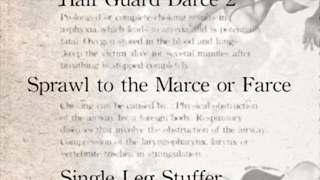 16 Sprawl to Marce or Farce Japanese