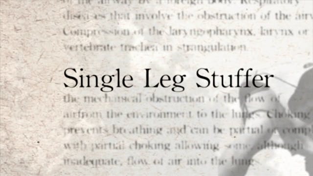 17 Single Leg Stuffer