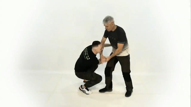RMA Systema Combat Biomechanics V1 Dmitry Skogorev