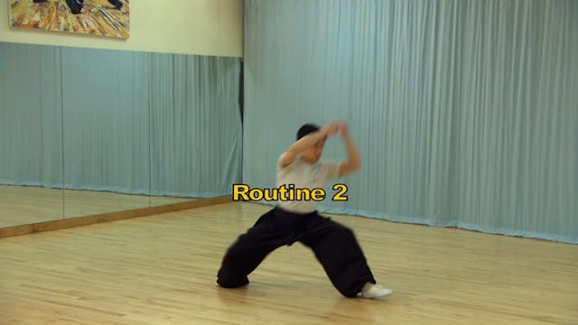 Shaolin Kung Fu Long Fist Int - 51