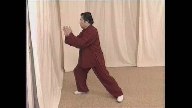 Tai Chi Yang Style Vol 2 by Fu Sheng Yuan