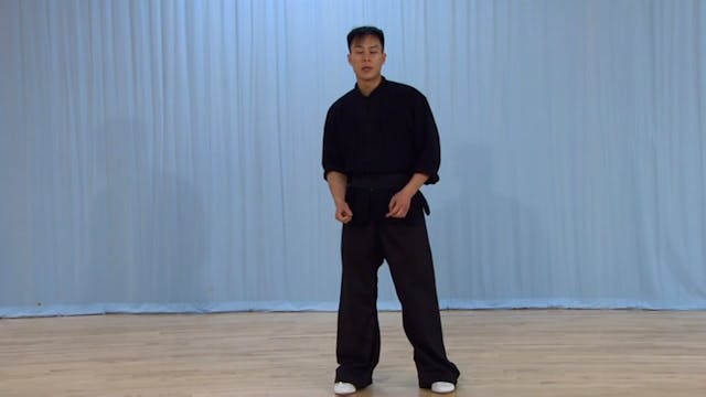 Shaolin Kung Fu Advanced 2 - 17