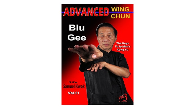 Advanced Wing Chun Keys to Ip Man's Kung Fu Vol 11
