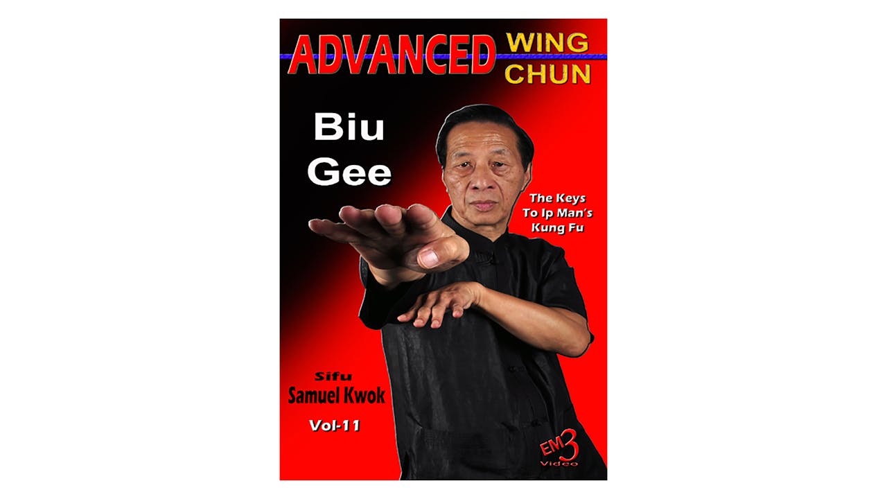 Advanced Wing Chun Keys to Ip Man's Kung Fu Vol 11