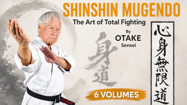 Shinshin Mugendo Art of Total Fighting 6 Volumes