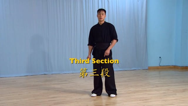 Shaolin Kung Fu Advanced 2 - 83