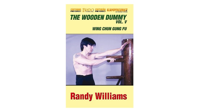 Wing Chun Wooden Dummy Form Part 5 Basic Drills
