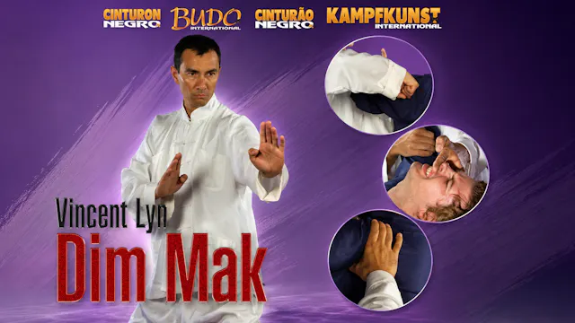 Ling Gar Kung Fu Dim Mak by Vincent Lyn
