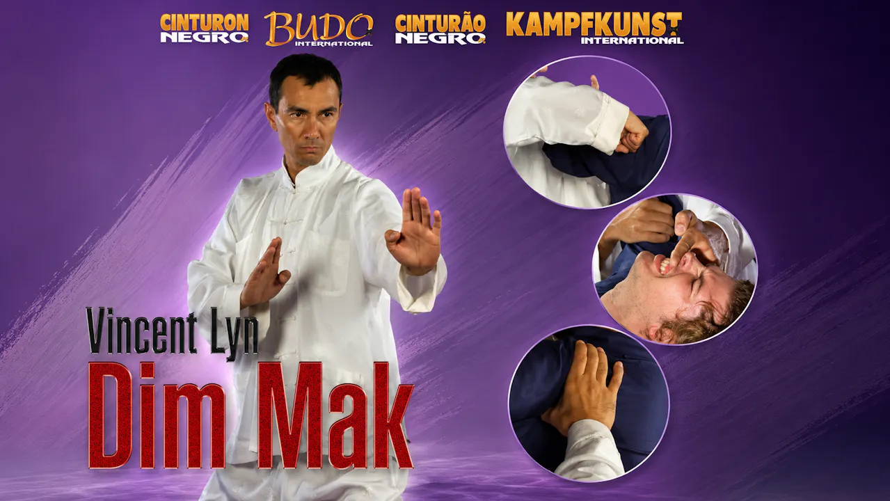 Ling Gar Kung Fu Dim Mak by Vincent Lyn
