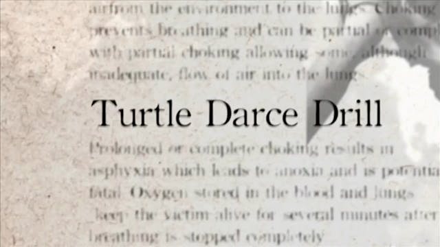 31 Turtle Darce Drill Darcepedia English Vol 1