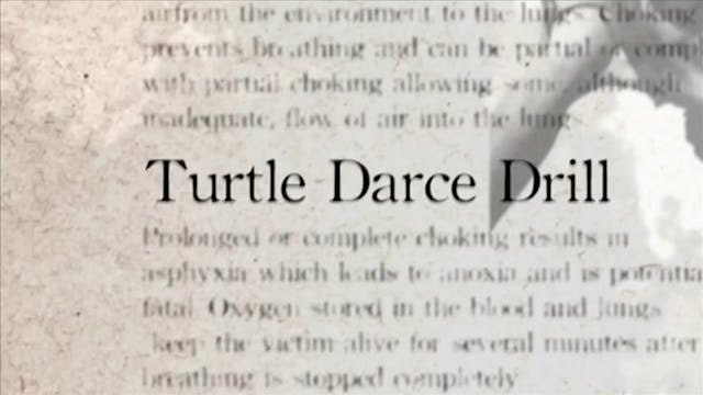 31 Turtle Darce Drill Darcepedia Engl...