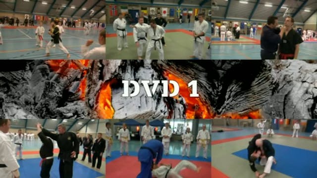 Martial Arts Seminar Highlights - 35 Years IMAF Belgium 2013 Vol 1 VPM-129